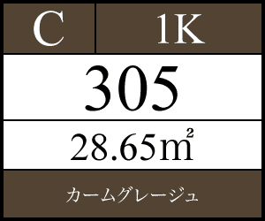 305号室